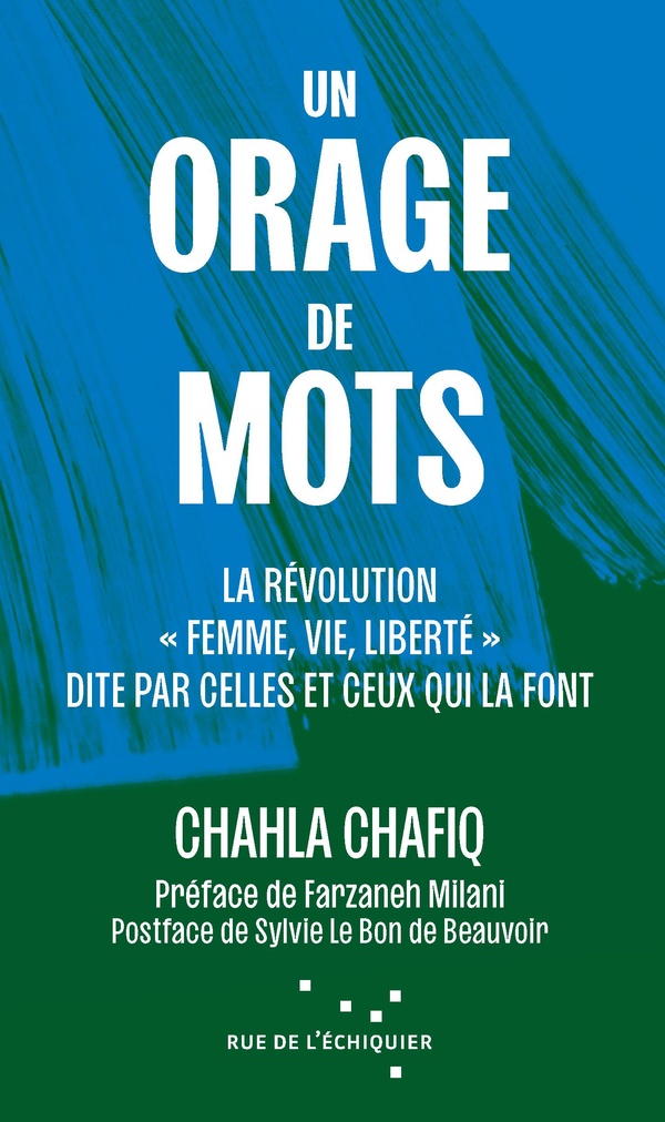 Lire la suite à propos de l’article Un orage de mots